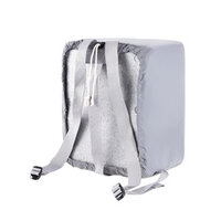 DJI Phantom 4 Wrap Pack Silver (DJIP4-58)
