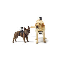 GoPro Fetch Dog Harness 