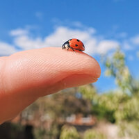 Insta360 GO Ultra Micro Lens