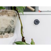 Quad Lock Adhesive Wall Mount (Twin Pack) (V2)