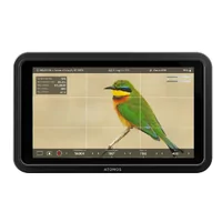 Atomos Shinobi II 5-inch 1500 nit HDR Monitor