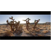 GoPro HERO13 Black Anamorphic Lens Mod