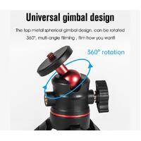 Mini 2-in-1 Tripod