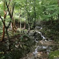 Canon EOS R8 Body w/ RF24-50IS STM Lens Full Frame Mirrorless Camera