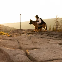 GoPro Tripod + Ballhead