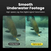 Chasing CanFish CF1 Live Underwater Fishing Camera