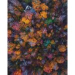 Freewell 4-Filter Pack for Phantom 4 Pro/Adv (4K Series) - Image 7