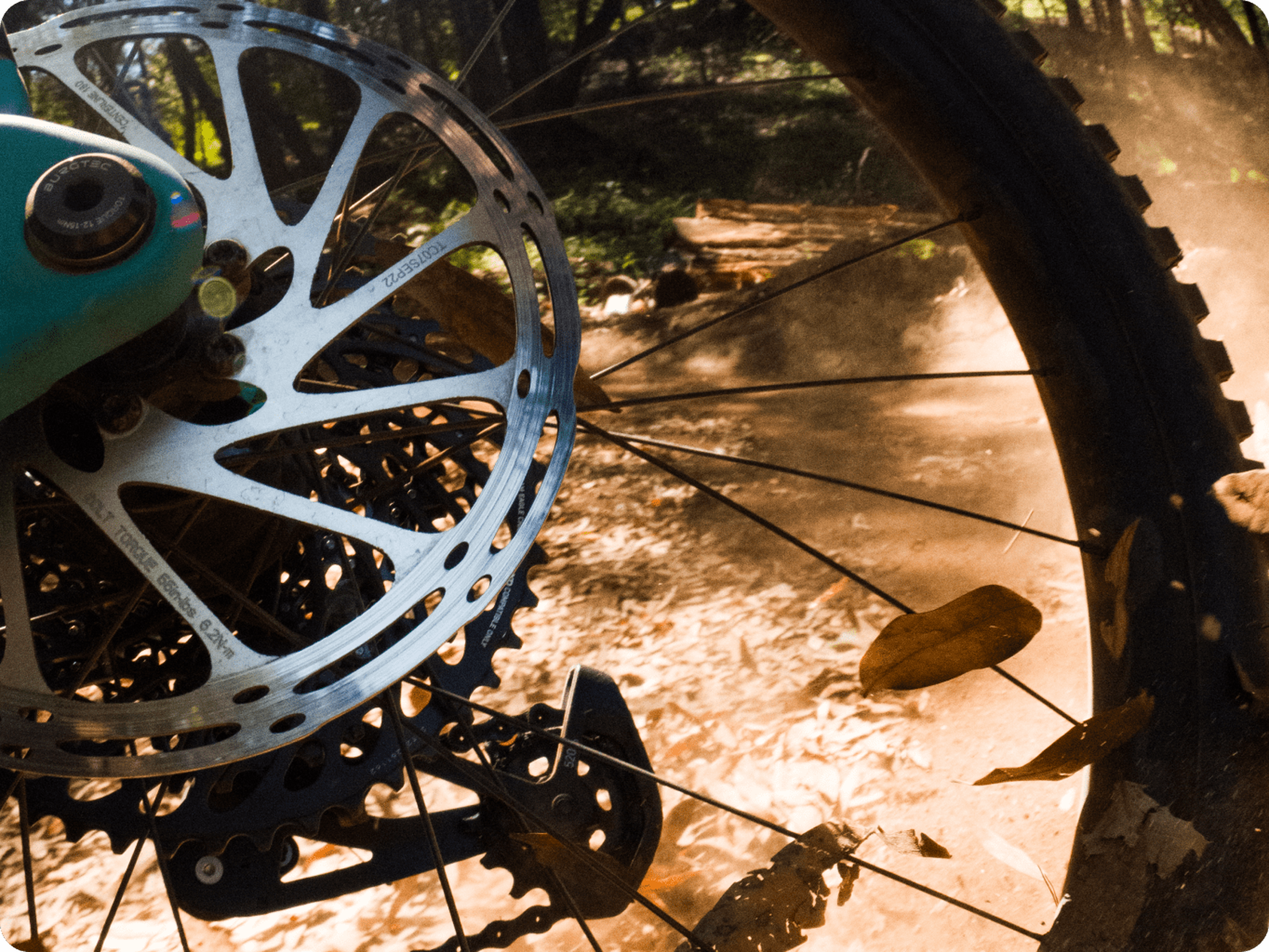 bicycle wheel