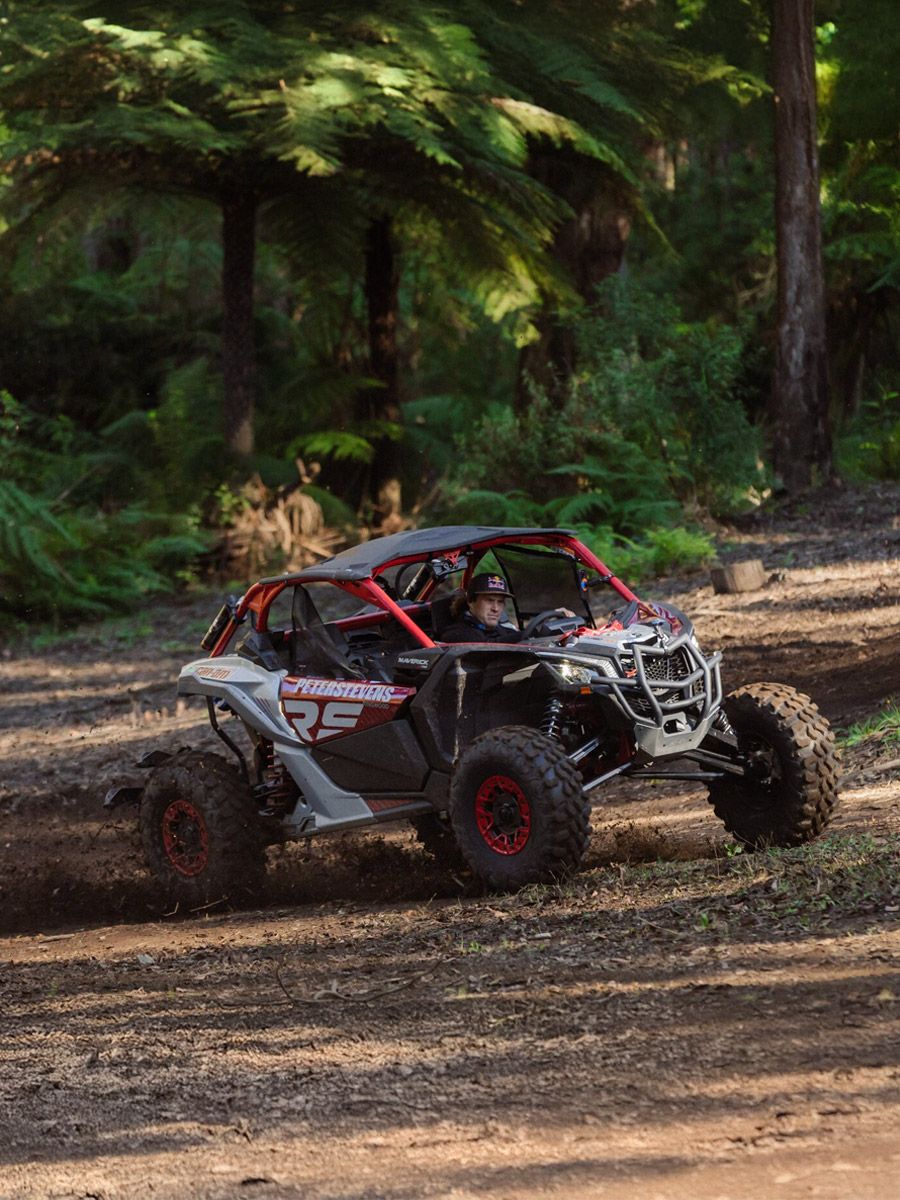 Quad Lock Roll Cage Mount on side-by-side vehicle